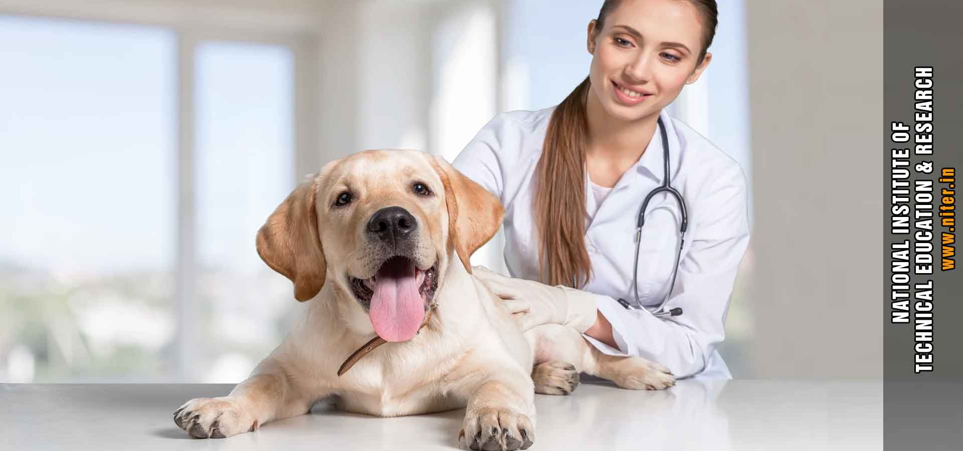Veterinary Courses in India punjab ludhiana